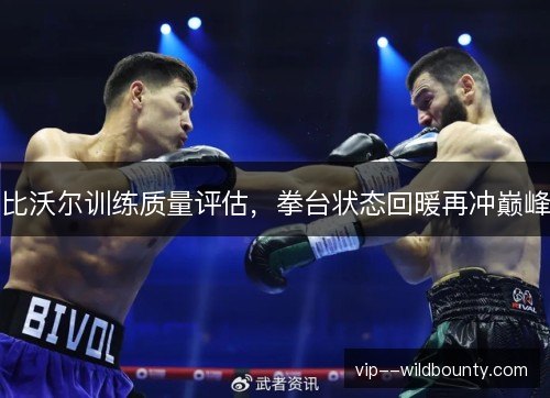 比沃尔训练质量评估，拳台状态回暖再冲巅峰